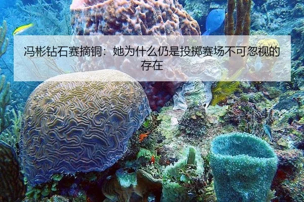 feng-bin-zuan-shi-sai-zhai-tong-ta-wei-shen-me-reng-shi-tou-zhi-sai-chang-bu-ke-hu-shi-de-cun-zai-2-748.jpg